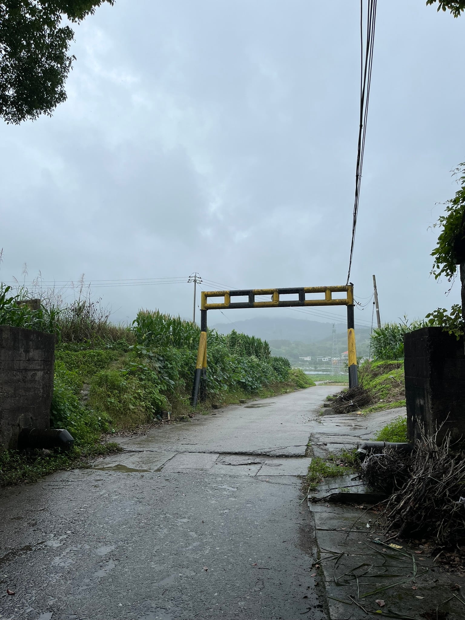 桥洞里躲雨