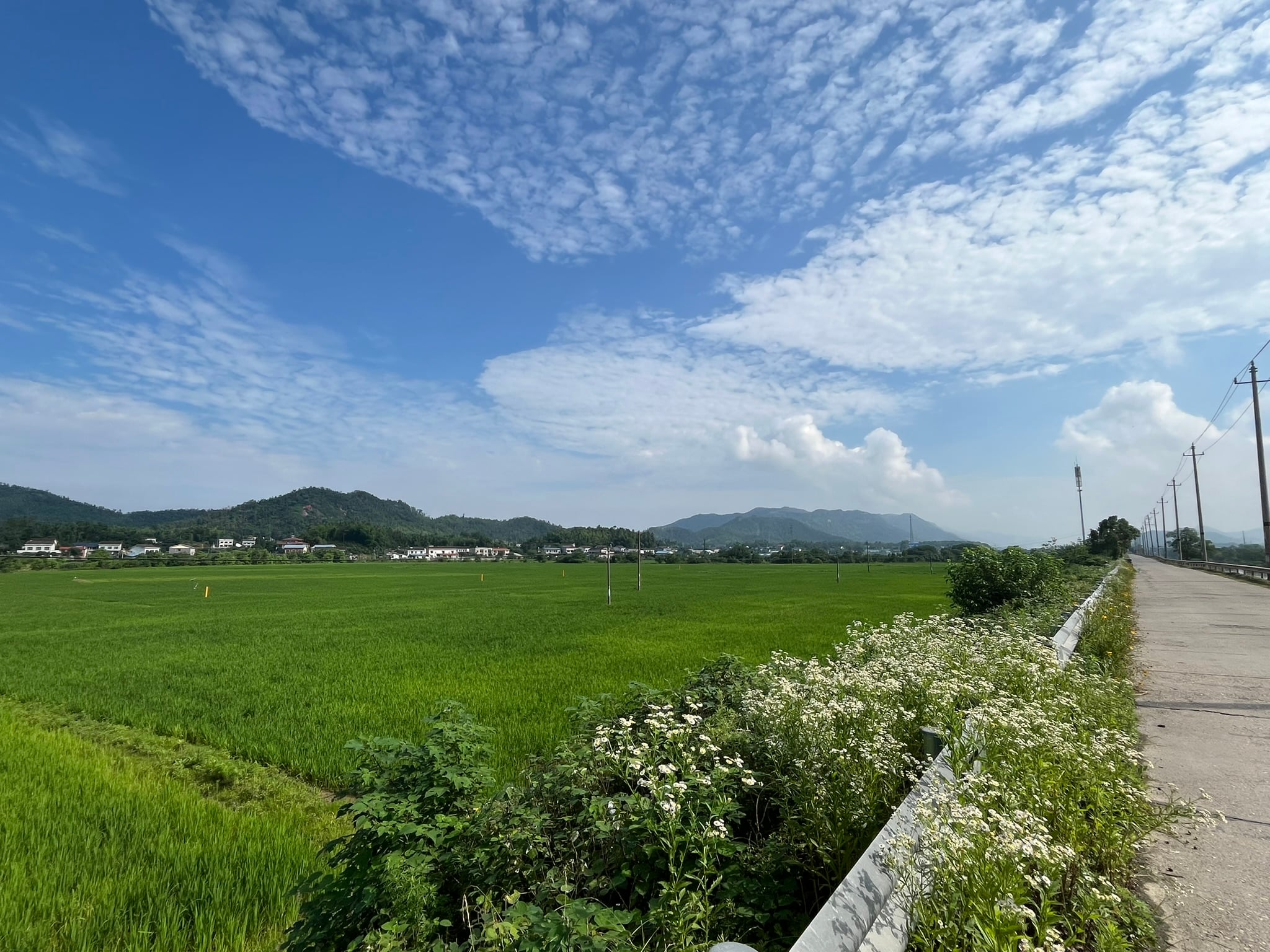 美丽的村庄和田野